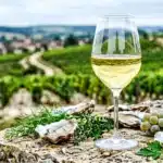 Verre de vin blanc avec vignobles et huitres en arrière-plan
