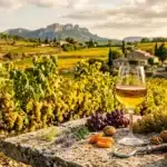 Verre de vin blanc devant vignobles et montagne provençale