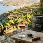 Verre de vin rouge surplombant vignobles en terrasses et mer